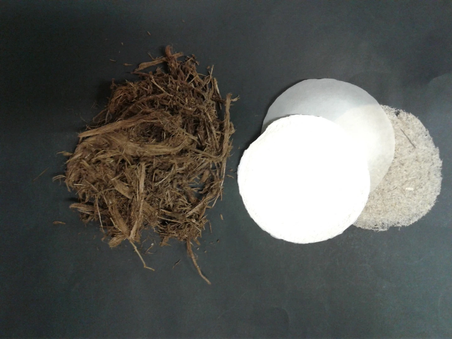Elephant dung (left), along with paper made from it