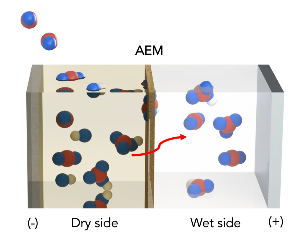 Diagram depicts the design of a novel "artificial leaf" device that captures carbon dioxide with great efficiency