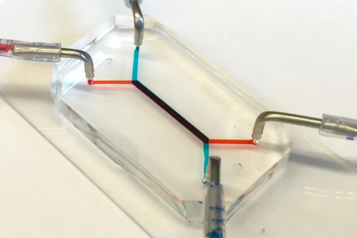 The new device is able to accurately simulate the development of the placental barrier