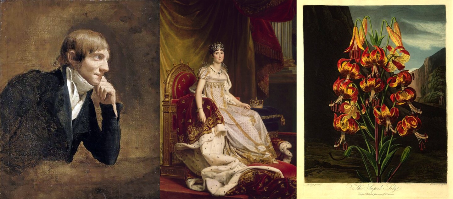 Les Liliacées by Pierre-Joseph Redouté (left) was produced under the patronage of Empress Josephine of France (the wife of Napoleon I – pictured above center) though prior to the French Revolution, he had been an official court artist of Queen Marie Antoinette of "Qu'ils mangent de la brioche" fame. Provenance is always one of the key factors in determining the price of an object at auction, and with three of history's most recognizable figures associated with this magnificent work, it's not surprising that Empress Josephine's personal copy would become one of the most valuable ever. Comprising 468 watercolors of flowers from the gardens of Malmaison, St.-Cloud, Versailles and Sevres, the 16 volume set weighs 320 pounds.