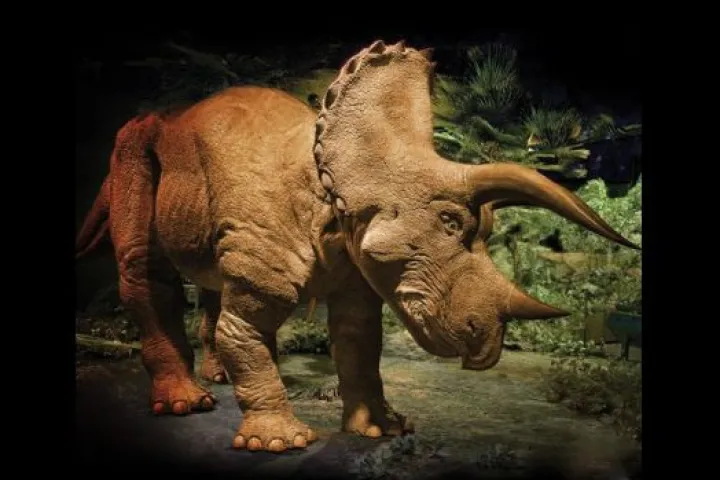 Hammacher Schlemmer is now selling a 20 foot-long interactive animatronic Triceratops, for US$350,000