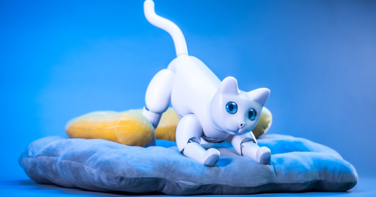Interactive robotic cat hits Kickstarter