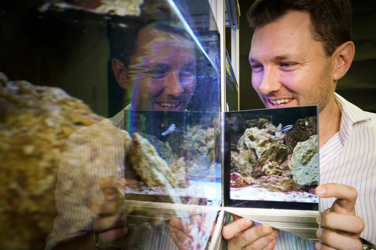 Researcher Alex Jordan administers the mirror test on cleaner wrasse fish