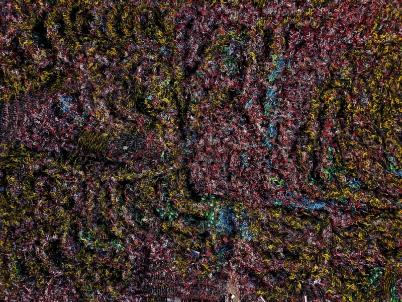 Wound of Bicycle Sharing: Commended in the Abstract category