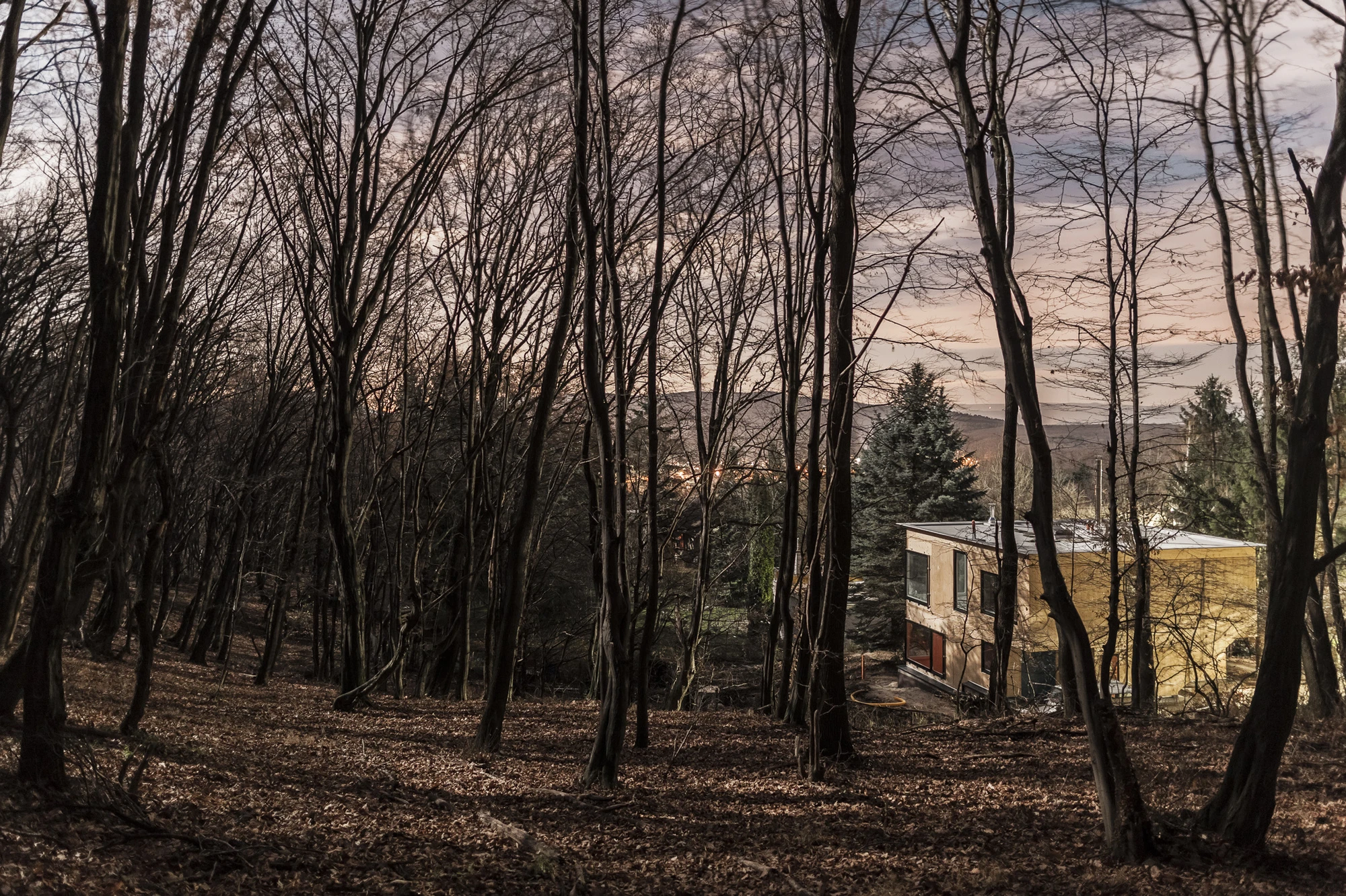 Black Magic House is located in a forest on the outskirts of Budapest (Photo: Zsolt Batár)