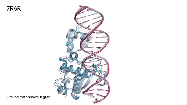 AlphaFold 3’s prediction for a molecular complex featuring a protein (blue) bound to a DNA double helix (pink) is a near-perfect match to the true molecular structure (gray)