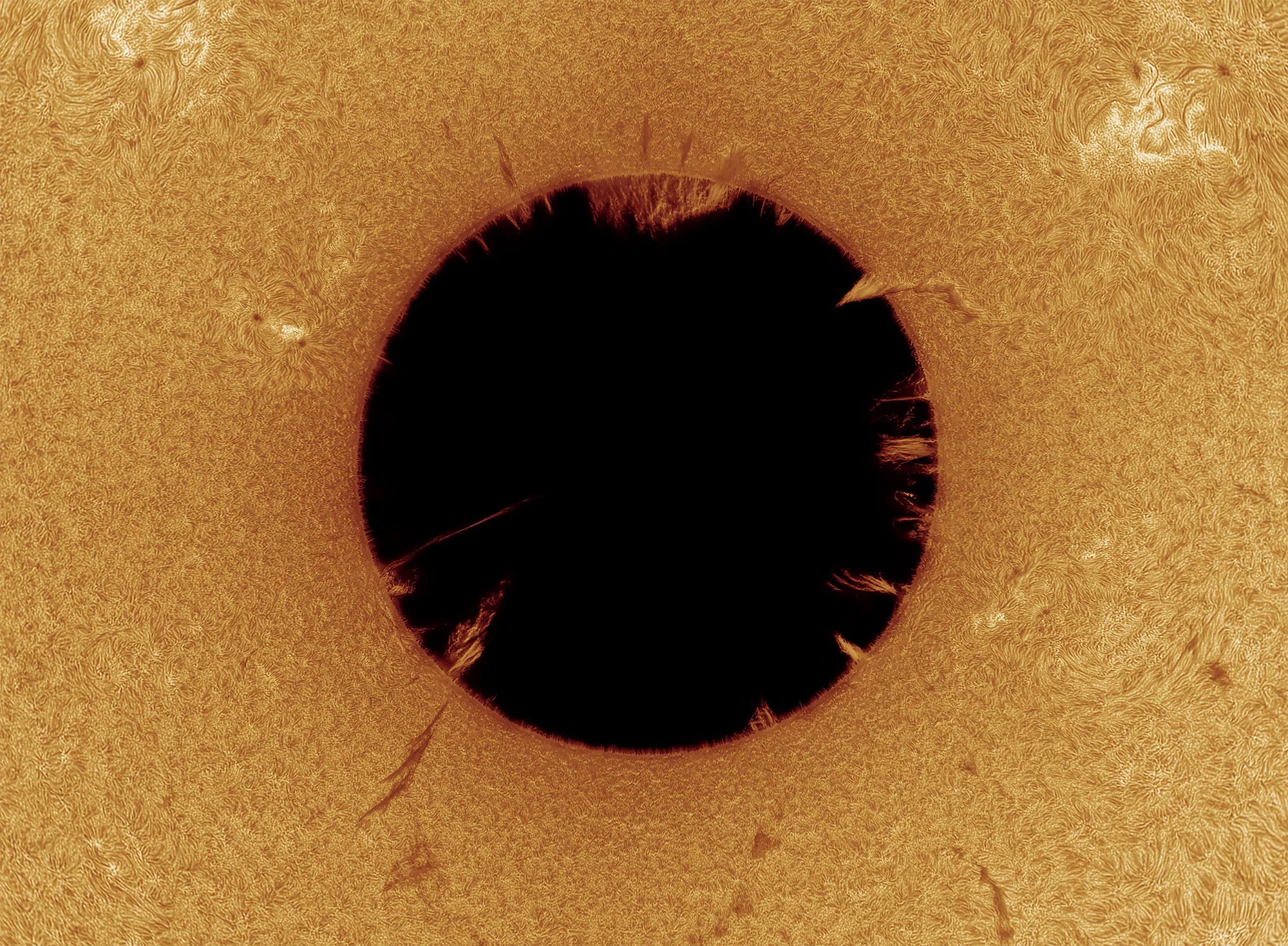 Our Sun, Runner-Up. "Dark Star"