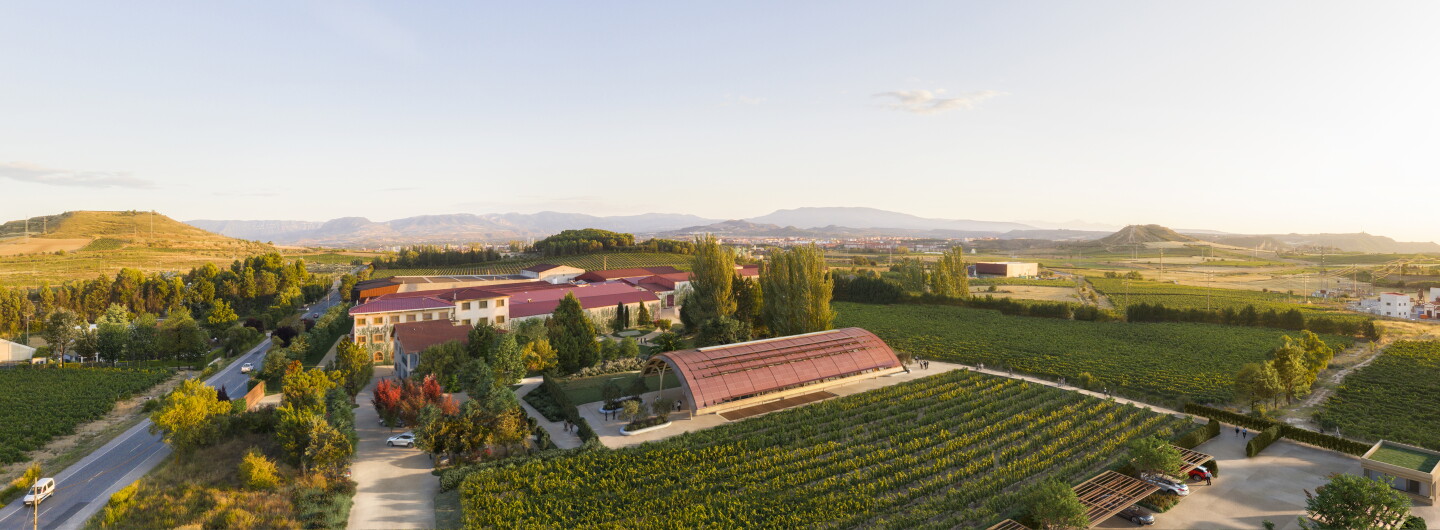 Bodegas Faustino is located in Ollon, Spain.