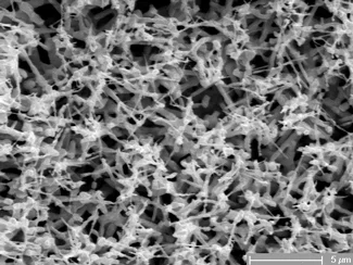 The "tin whiskers" used for the anode