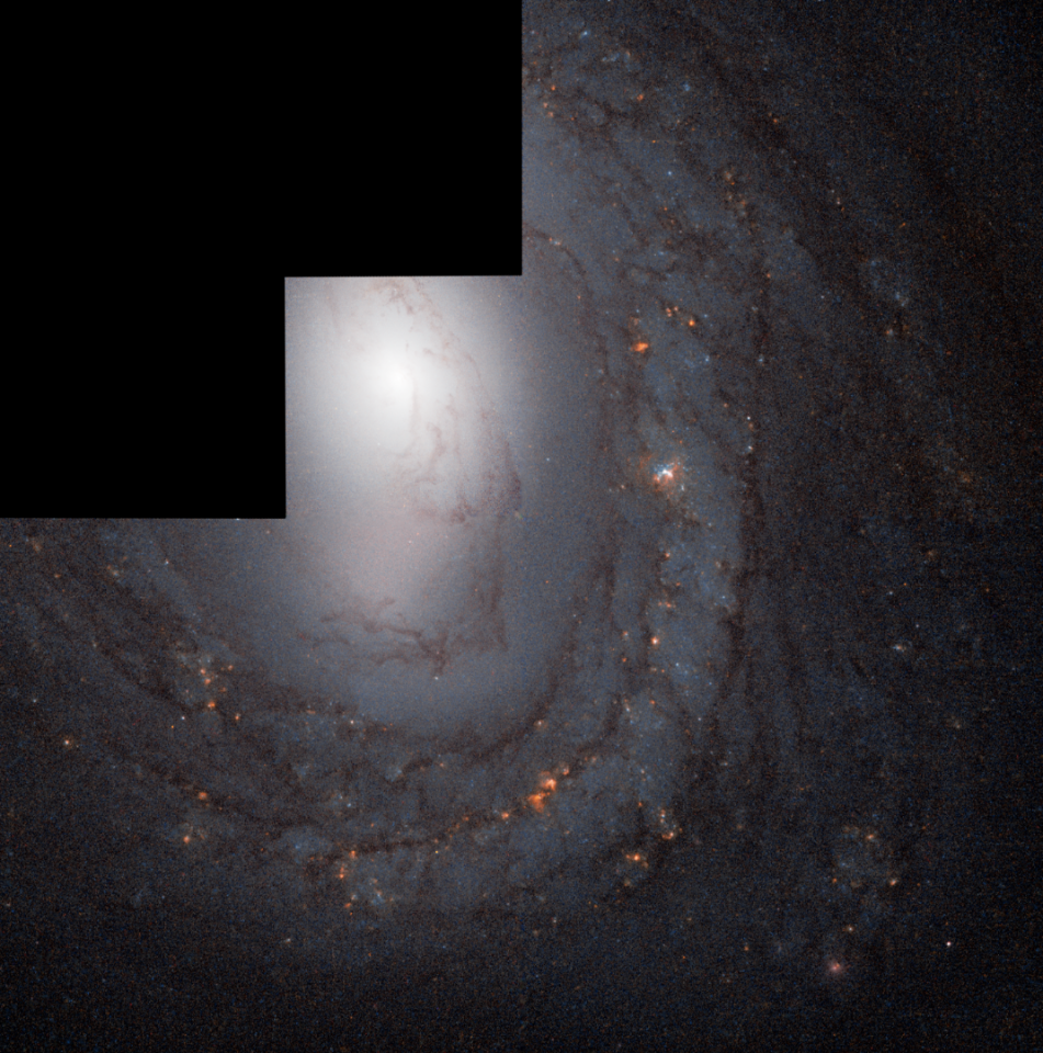 The barred spiral galaxy M58, as imaged by the Hubble Space Telescope