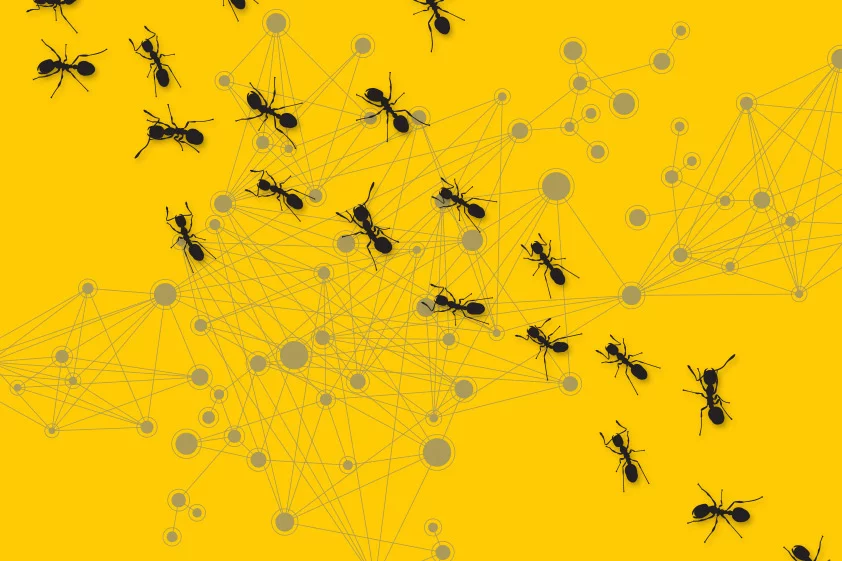 Ants inspire researchers once again