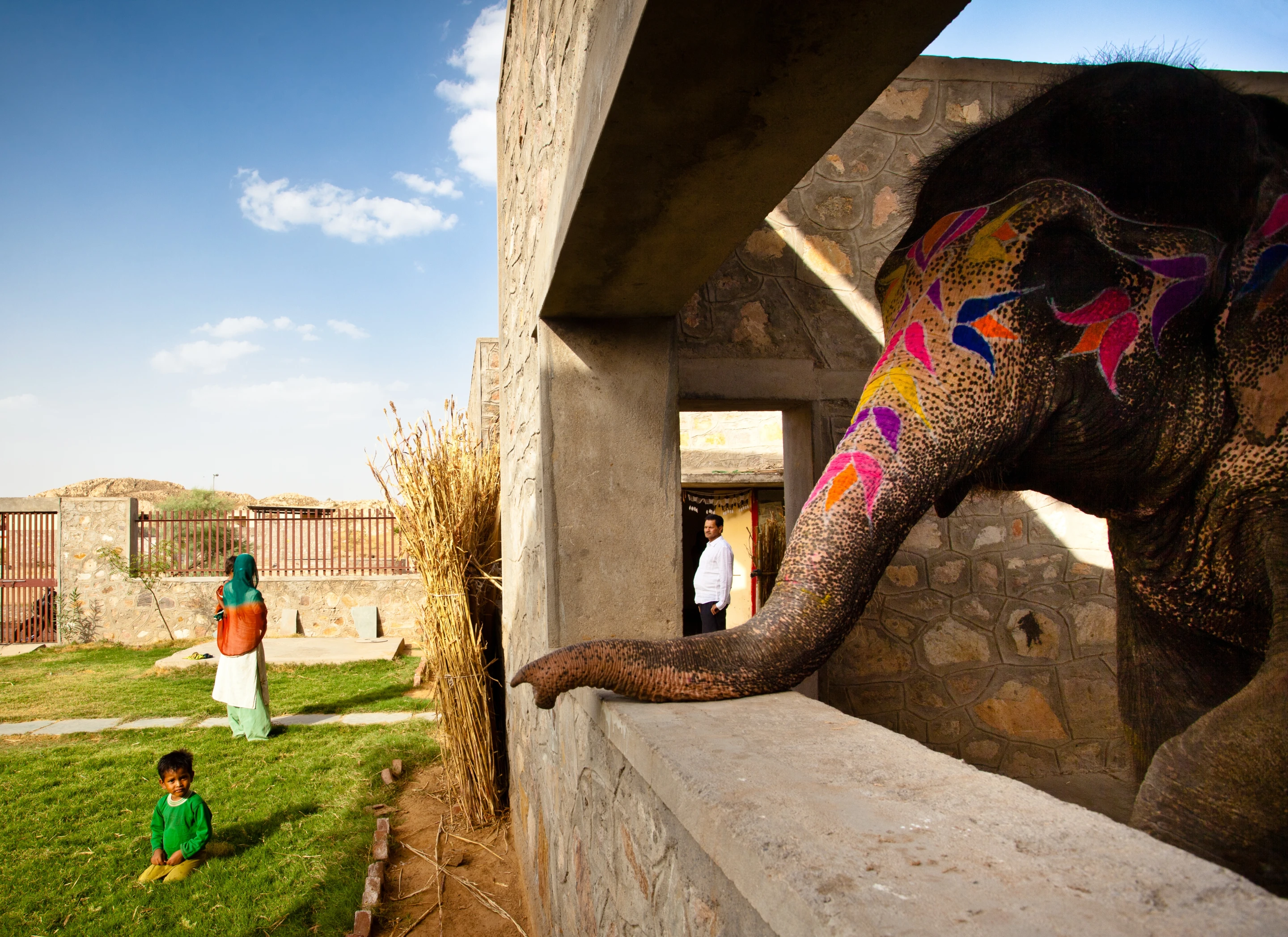 The Hathigaon elephants can visually connect with their caretakers (Photo: Carlos Chen)