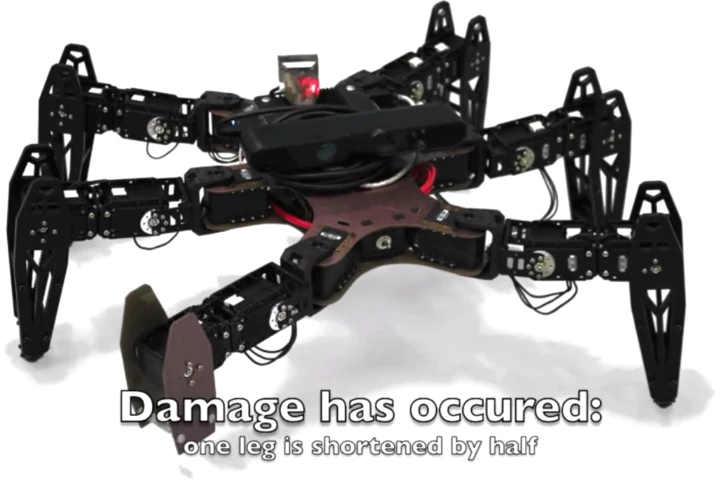 When hexapods become pentapods