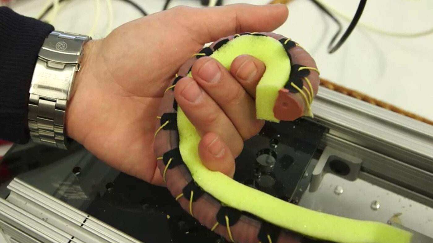 One of the two soft robotic grippers is designed to wrap itself around its target