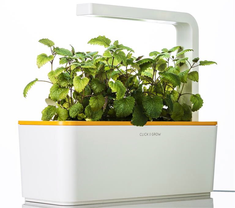 Growing conditions are adjusted in relation to the data provided by the sensors