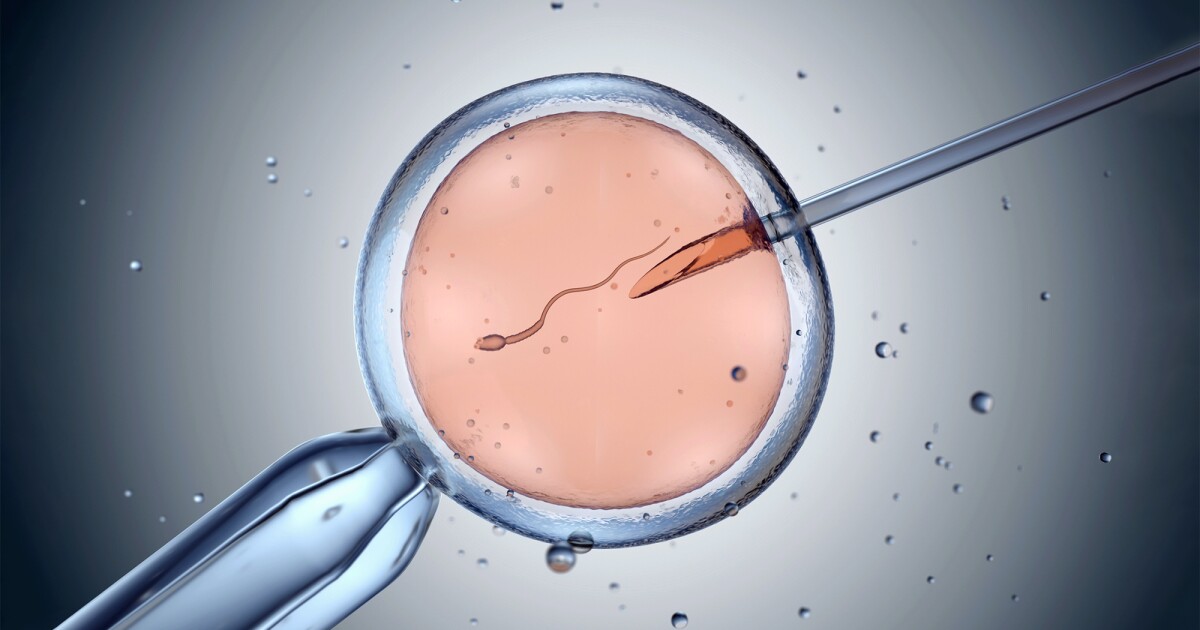 Cannabis use may harm IVF success and embryo quality Cannabis use may harm IVF success and embryo quality