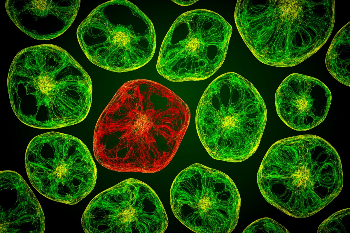 New intelligence model could upend biology, genetics, medicine and AI