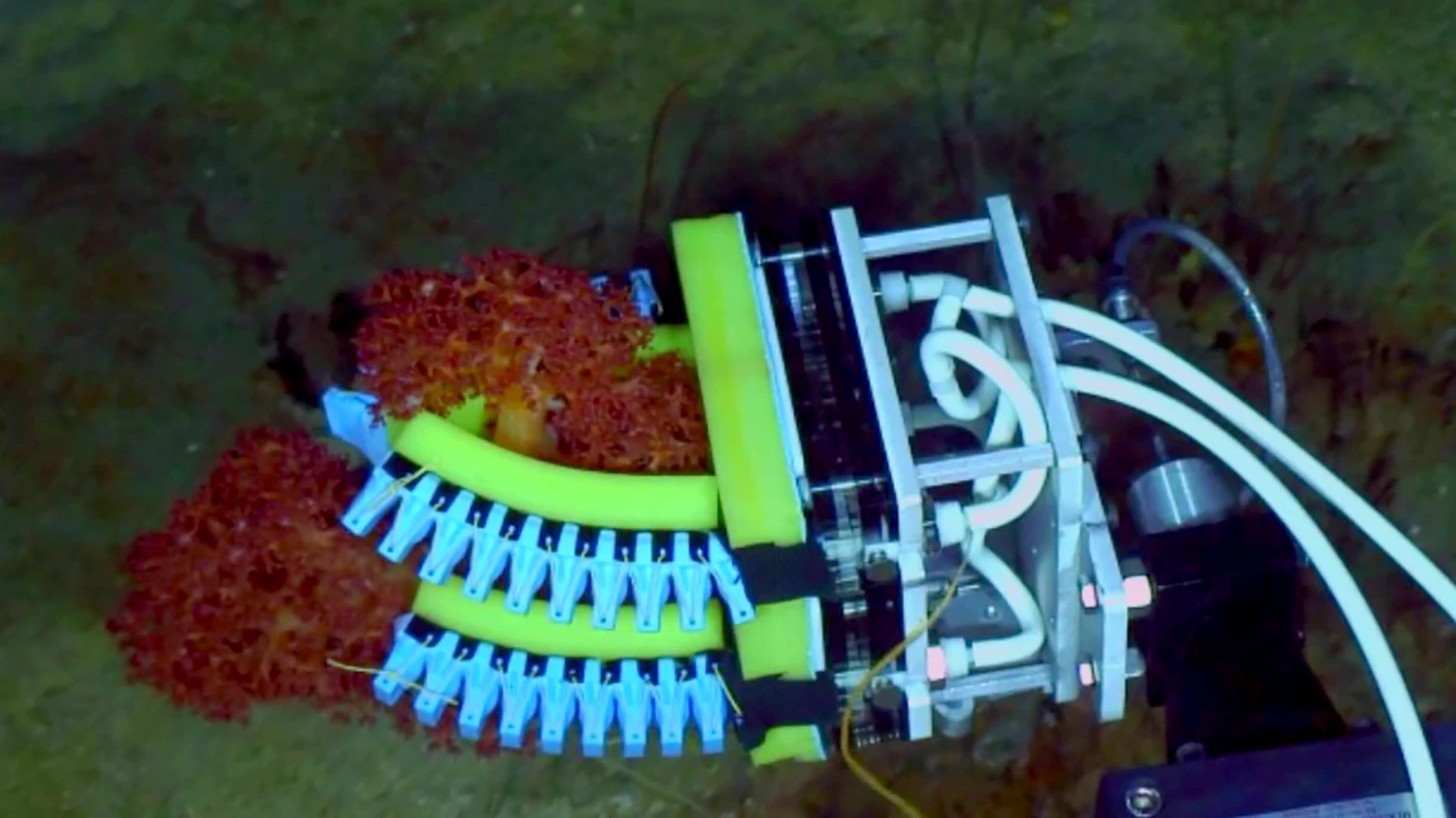 In order to make the grippers easy to modify and repair in the field, the team placed an emphasis on keeping the construction simple, using inexpensive materials, and opting for a modular design