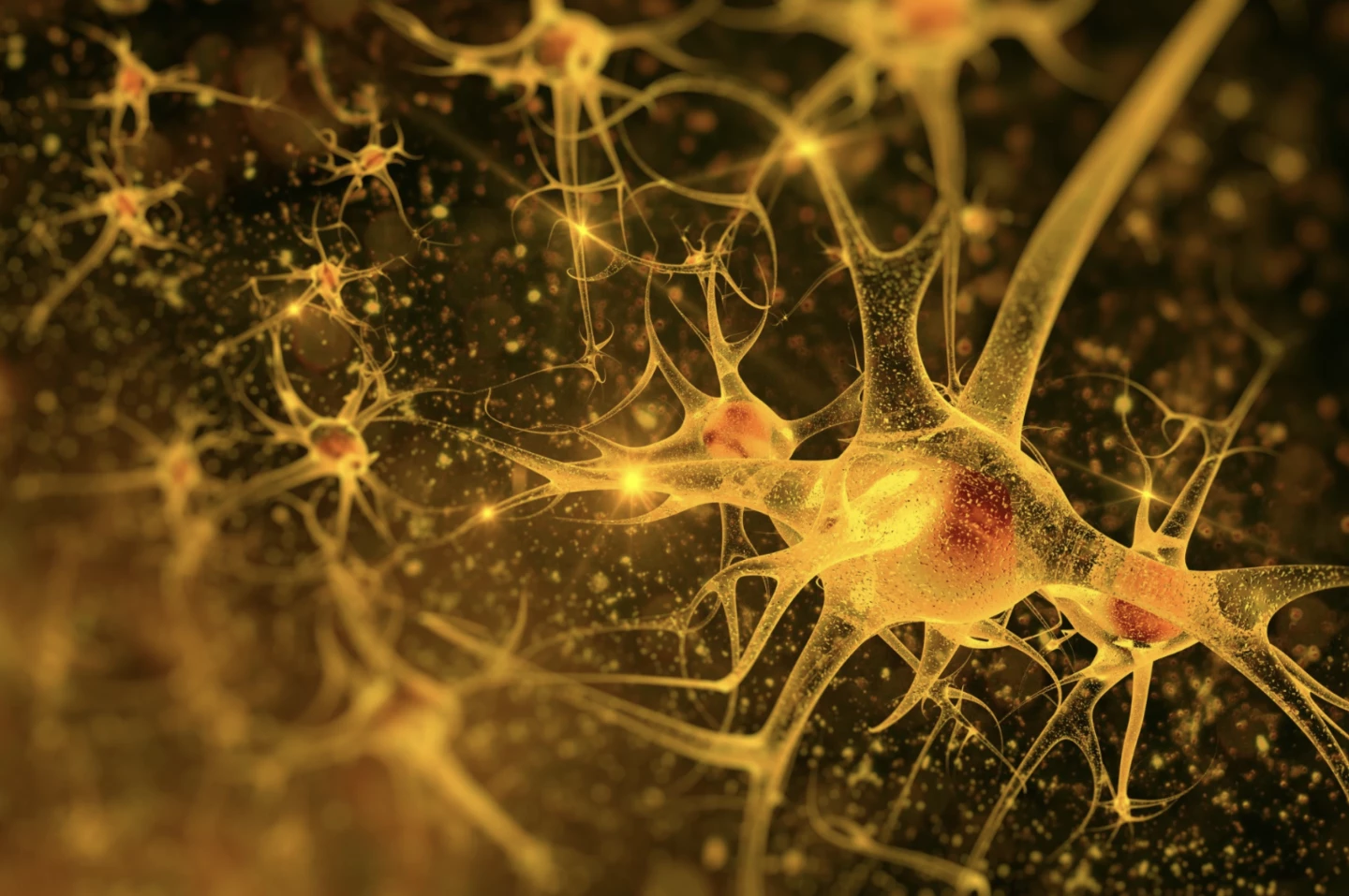 The gene flip enabled new neuronal pathways to form, resulting in courtship behavior previously unknown to the species