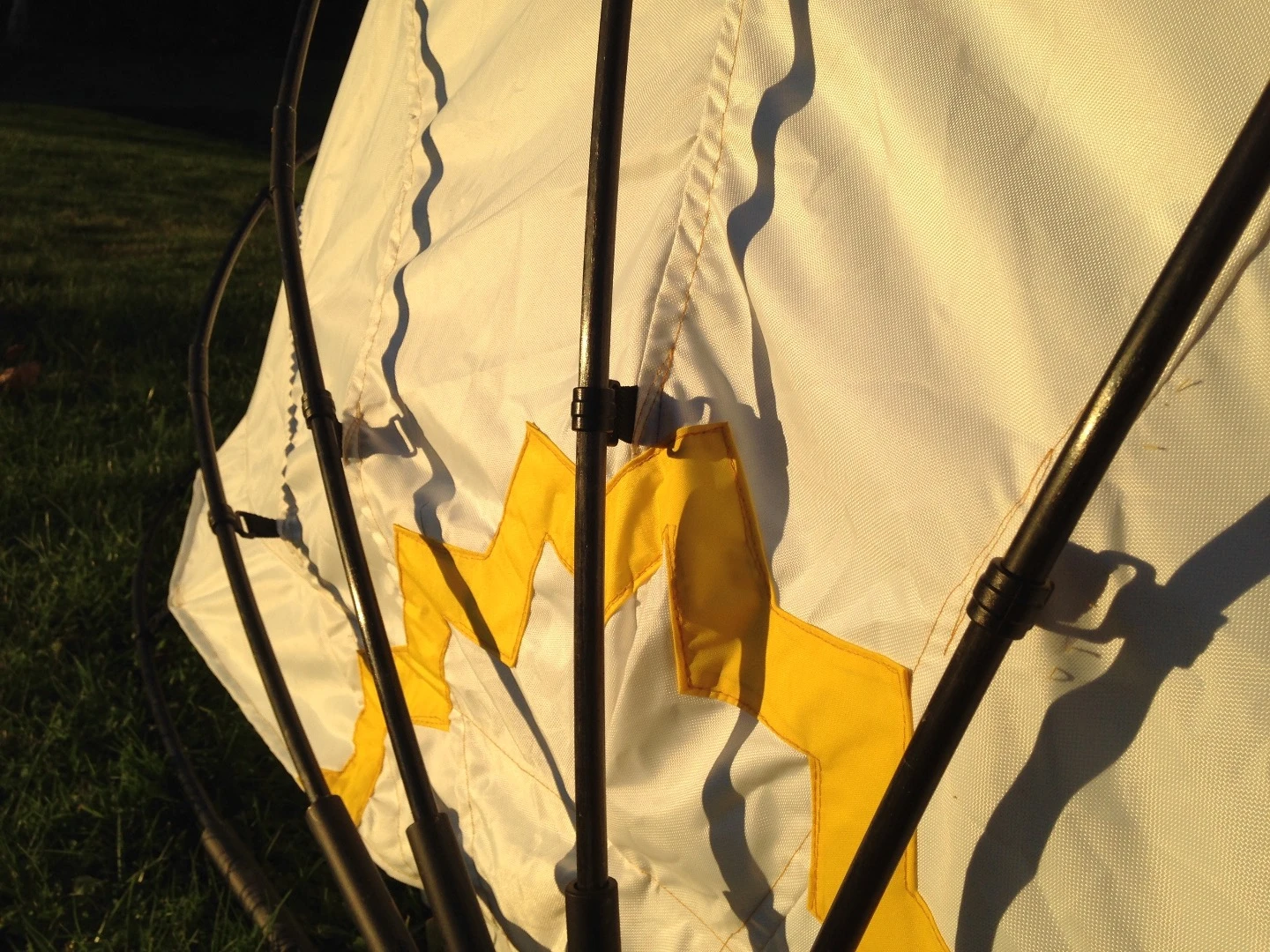 Mollusc Tent