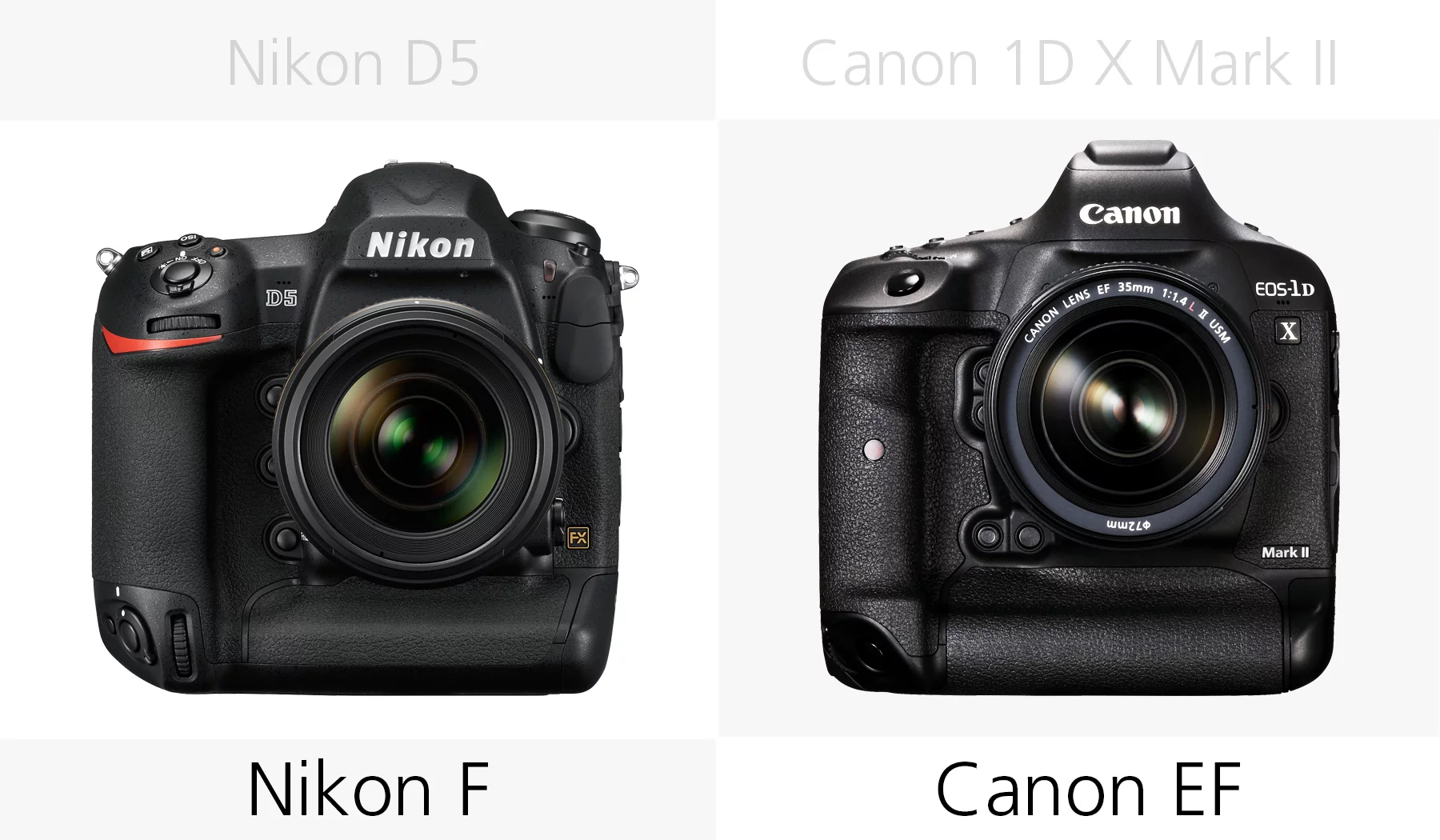 Lens mount comparison of the Nikon D5 and Canon 1D X Mark II