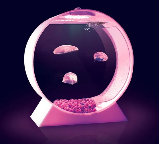 The Desktop Jellyfish Tank is an aquarium designed specifically for the keeping of jellyfish