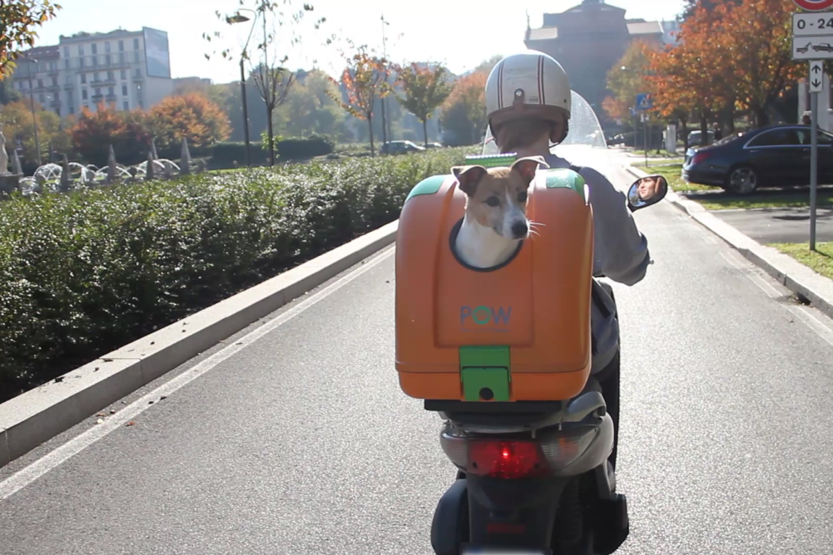 Pet On Wheels brings about a welcome level of versatility to the motorcycle pet carriers