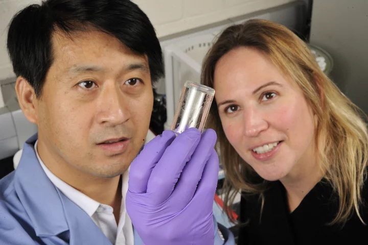 Postdoctoral fellow Guoming Sun (left) and Sharon Gerecht, an assistant professor of chemical and biomolecular engineering, helped develop the burn-healing hydrogel