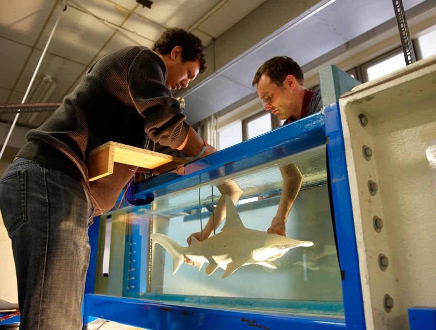 Jonathan Cox (right) and student Jonathan White (left) lower the model into the flow tank