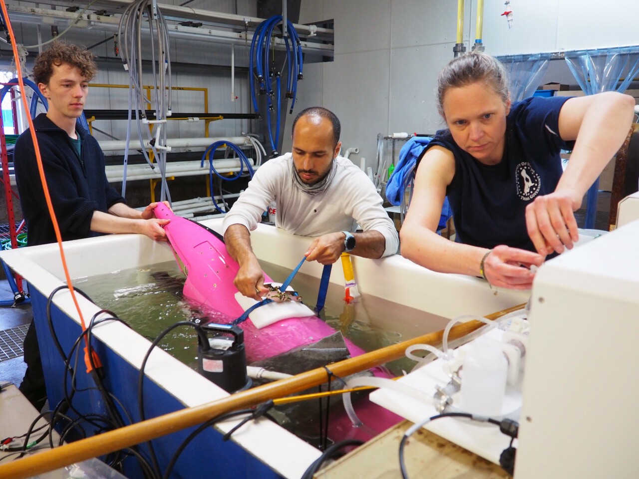 Engineers tinker with the Seaglider drone to ready it for CO2 measurement in the oceans