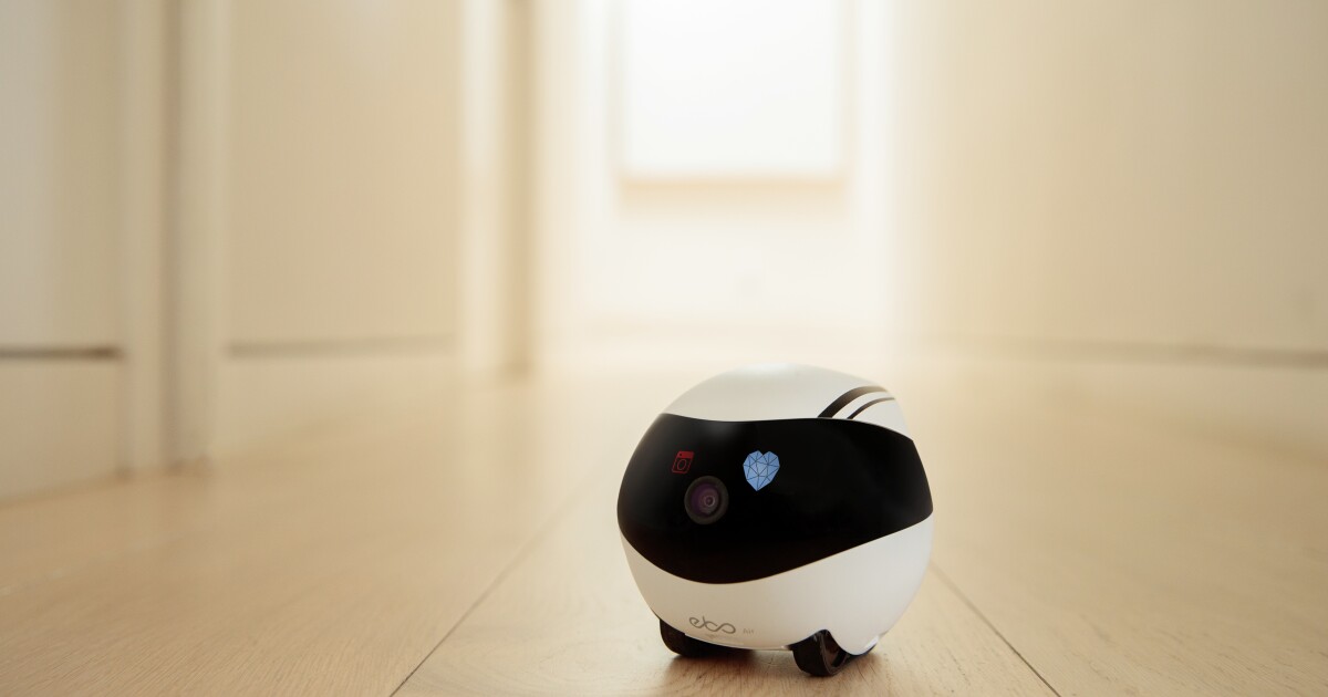 Ebo offers video callers a roaming robotic physique