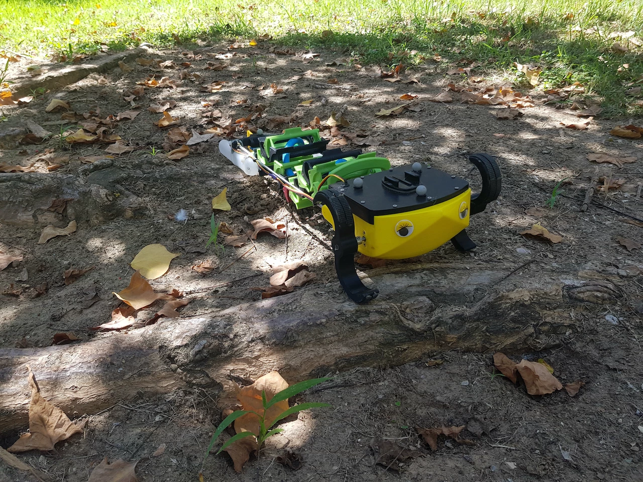 The AmphiSAW robot uses its legs to climb over a tree root