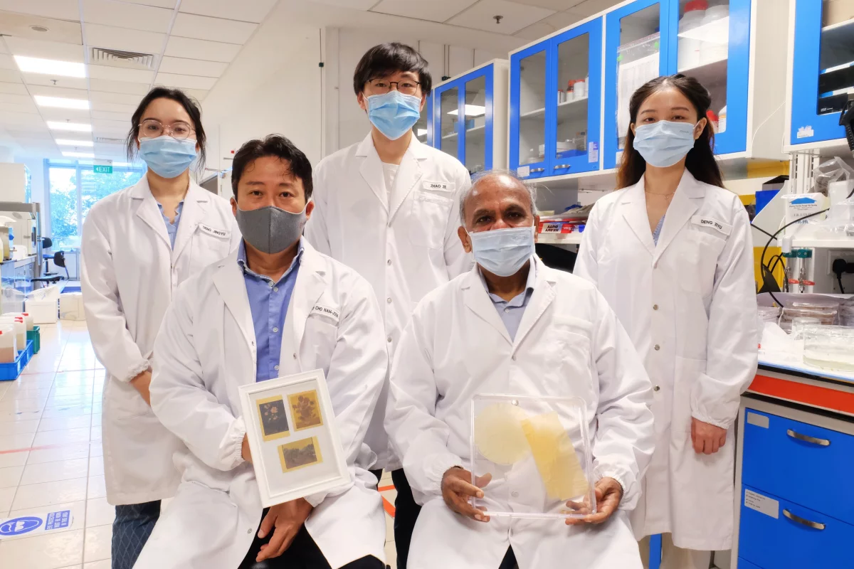 The NTU Singapore research team, with samples of the pollen-based paper