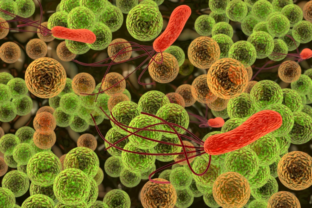 Medical experts are increasingly concerned about the threat of drug-resistant bacteria