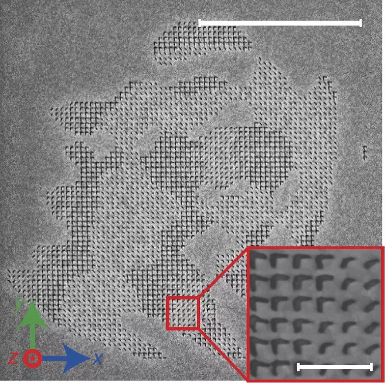 Detail of the nanoantenna array forming the plasmonic metasurface for a hologram of the letter "P" – the visible area measures about 12 microns square, and the inset shows detail of the individual nanoantennas (Image: Purdue University)