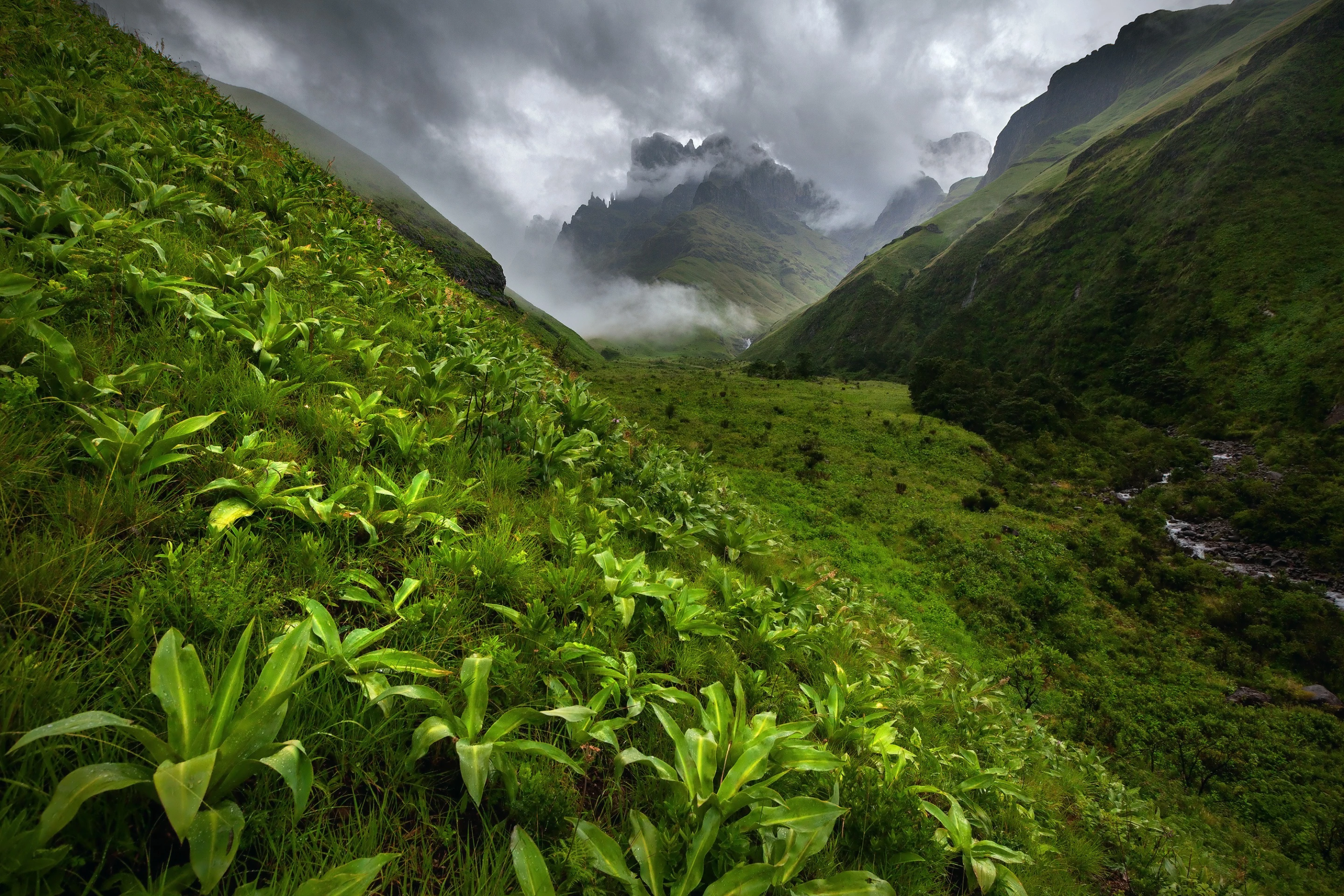 Runner Up - Project. From a series titled 'The Drakensberg', profiling the Drakensberg mountains in Southern Africa