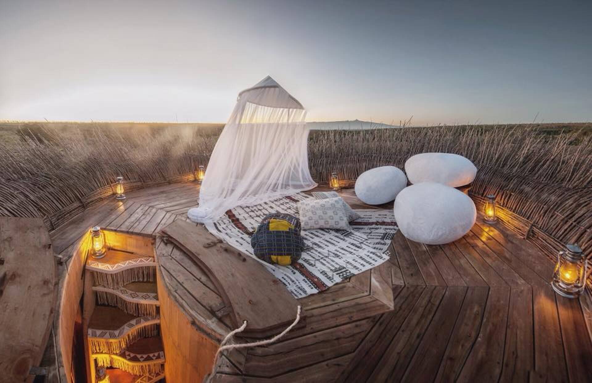 Bird Nest hotel sleeps Kenyan safarigoers above the treetops