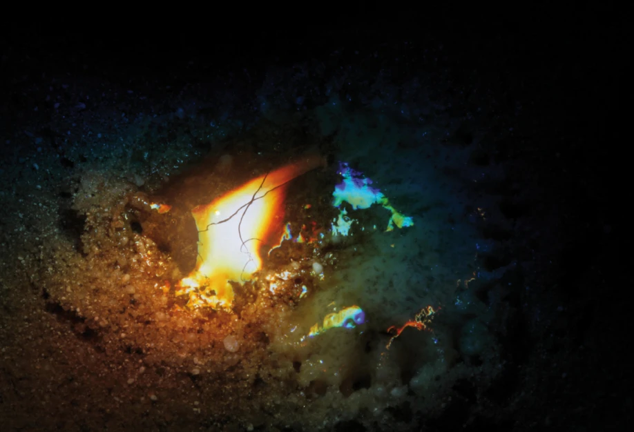 The sun's rays are focused to melt the silica sand