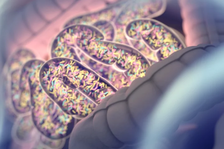 Early antibiotic use could affect the development of the gut microbiome and increase prevalence of autoimmune diseases