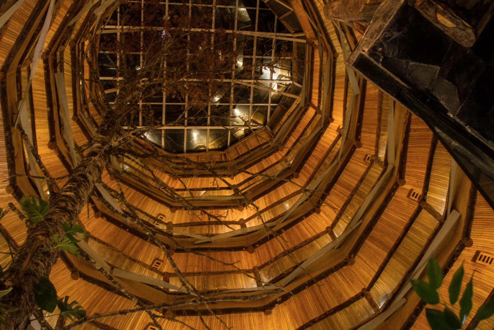 Of all the interiors, the Nothofagus's grand atrium is undeniably the most impressive