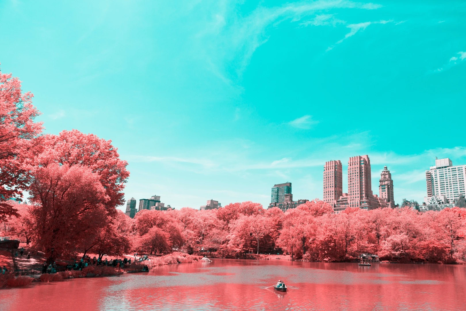 Paolo Pettigiani's series Infrared NYC is a glorious examination of New York's Central Park that uses infrared filters to transform the greenery into a pink and red wonderland