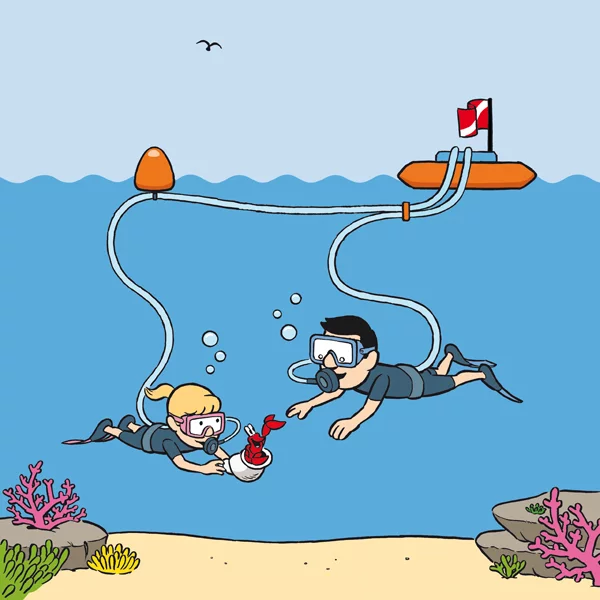 Each step of the Snorkel Dive system includes being with an experienced diver