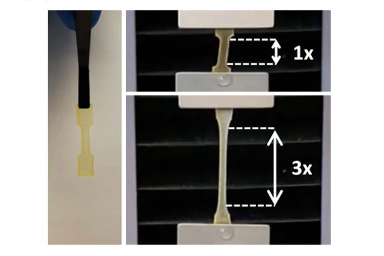 Researchers test the tensile strength of the new adhesive