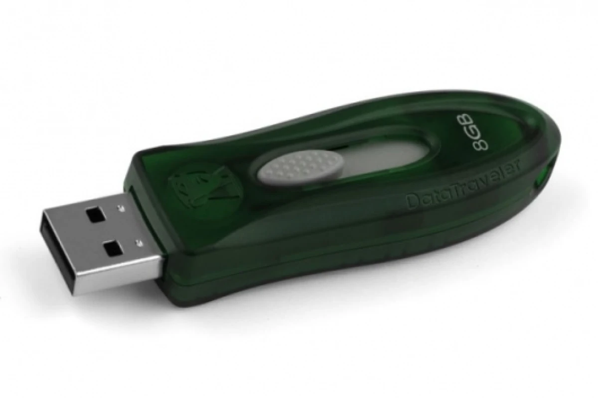 Kingston DataTraveler/110/ USB Flash drives