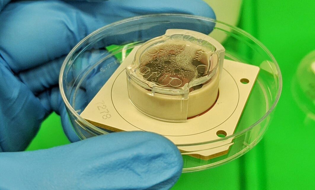 Laboratórios Corticais' "material molhado," parecendo particularmente molhado após uma sessão de teste