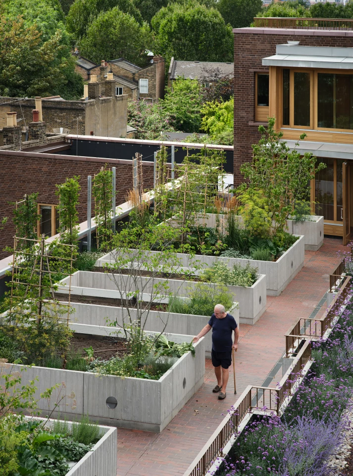 The Appleby Blue Almshouse includes a rooftop terrace with planters and a courtyard full of greenery