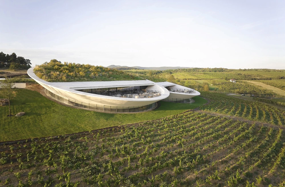 The hovering silhouette of Sauska Tokaj becomes a landmark visible from across the valley