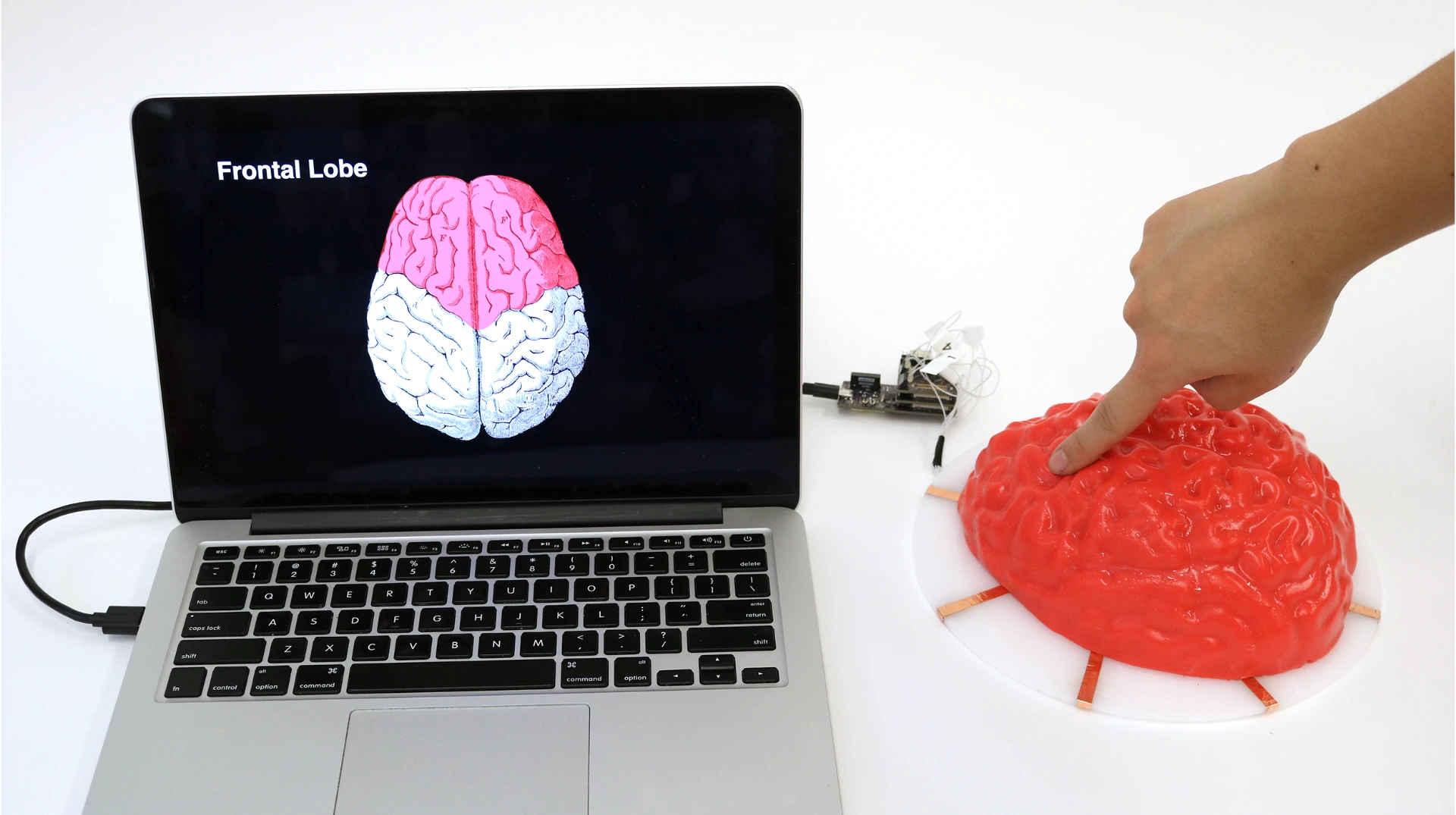 Electrick applied to a gelatin mold