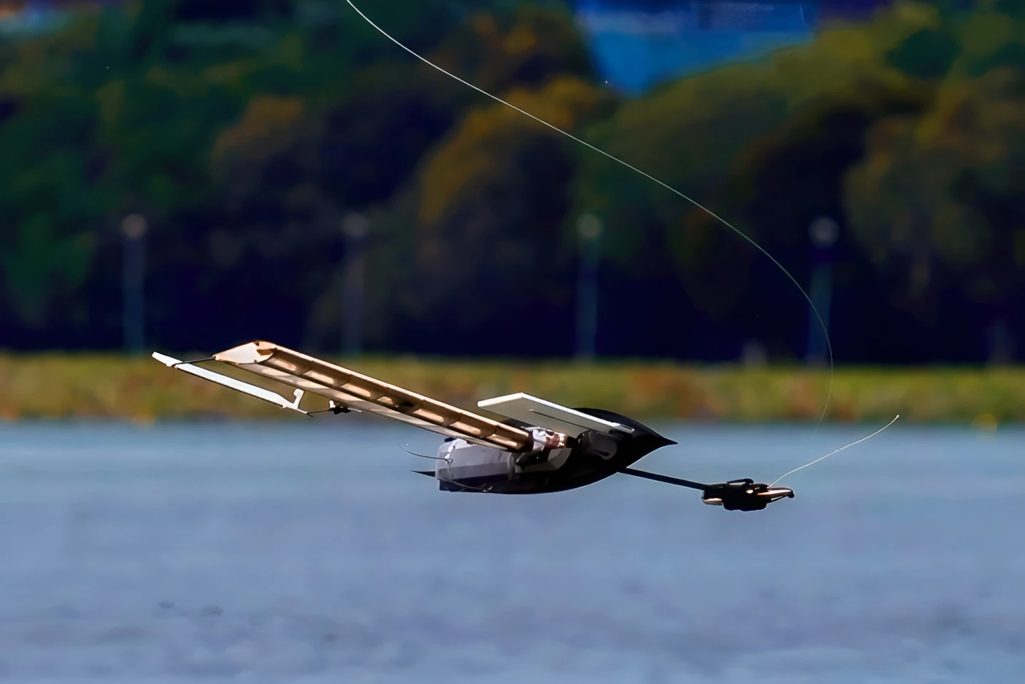 Bioinspired robot airdrops into remote waters via morphing wing-sail