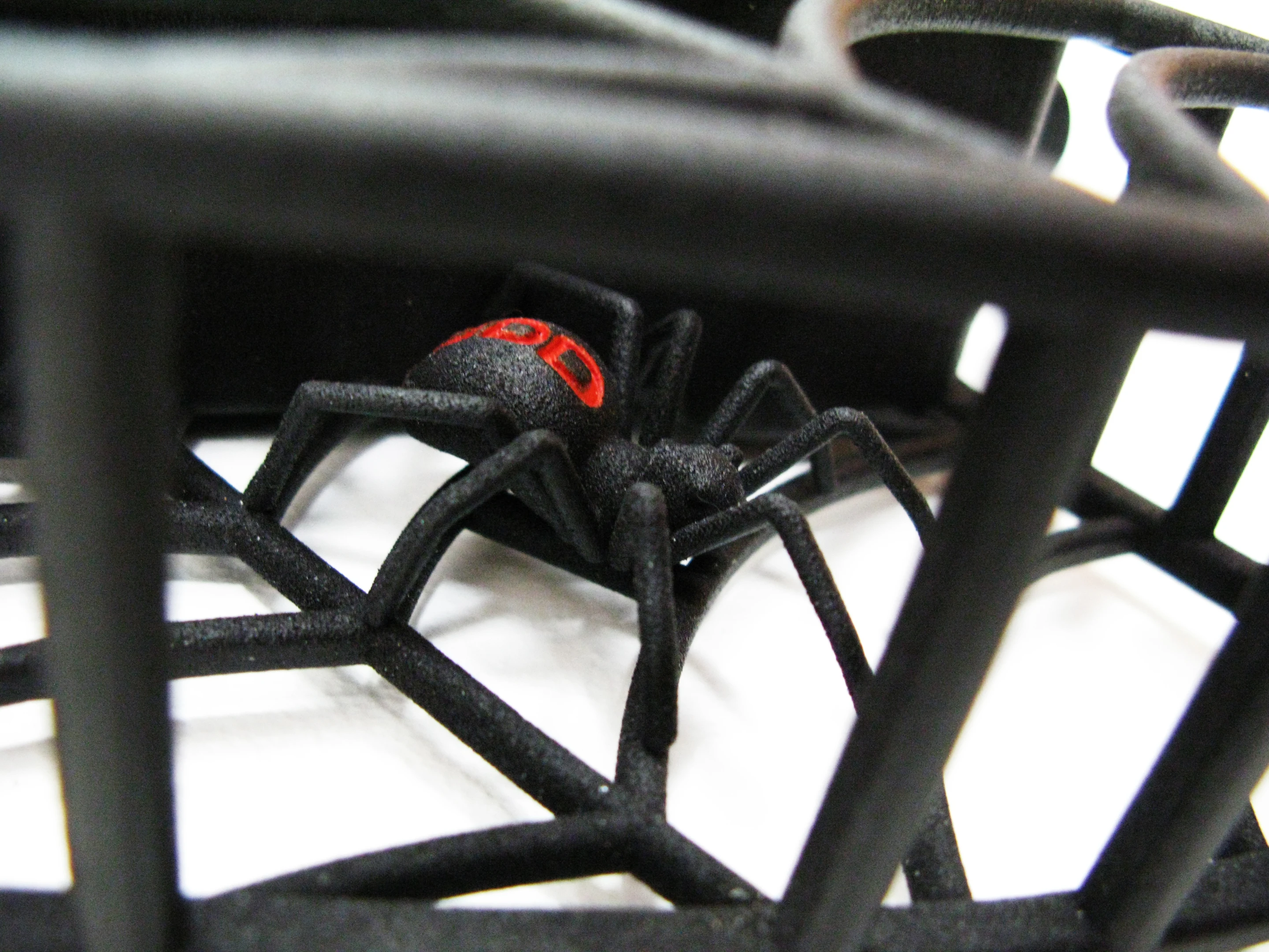Close up of one of the spiders at home in the web body of the ODD Spider